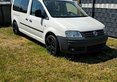 VW Caddy Volkswagen Maxi Life 1.9 TDI 77kW Maxi