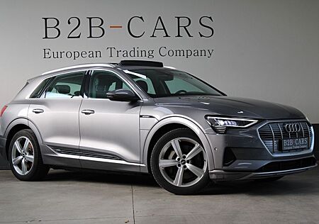 Audi e-tron 50 Quattro - Panorama - Kamera