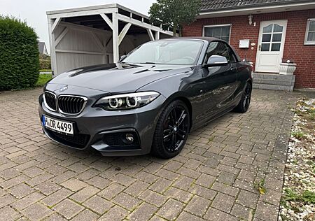 BMW 220i Carbio, M-paket, H/K Sound, Navi Prof