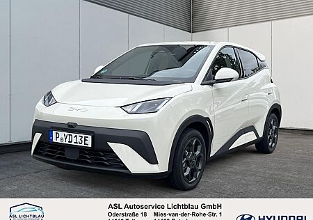BYD DOLPHIN gebraucht kaufen BYD DOLPHIN SURF Comfort ab 199€ mtl. 115 kW (156...