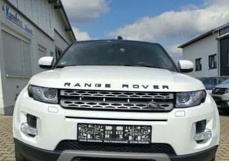 Land Rover Range Rover Evoque 2.2 TD4 Pure Pure
