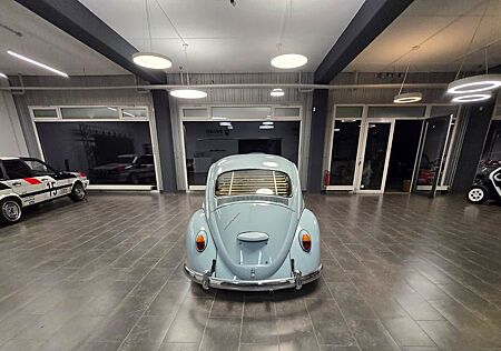 VW Käfer Volkswagen Restaurierrt