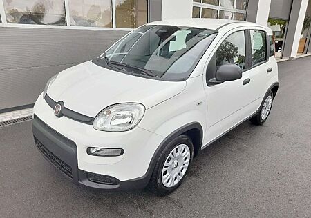 Fiat Panda 1.0 GSE Hybrid City-Paket Parksensoren Tem