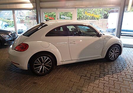 VW Beetle Volkswagen Lim. Allstar 2017 Kamera NAVI PDC