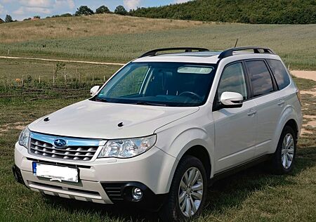 Subaru Forester 2.0X Comfort Automatik Comfort