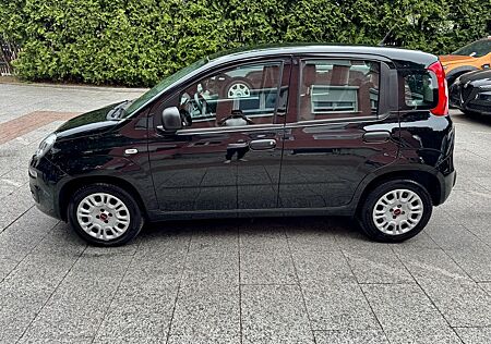Fiat Panda 1.2 Easy *Nur 21.000 KM*TÜV-Neu*