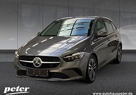 Mercedes-Benz B 220 4MATIC 17''+LED+Licht-und Sicht-Paket