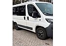 Peugeot Boxer Familienbus TÜV neu!