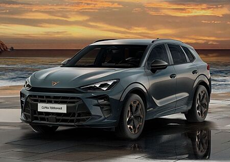 Cupra Terramar 1.5 DSG AHK|HUD|19"|Navi|360°|Sennhsr