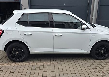 Skoda Fabia 1.0l MPI 55kW CLEVER CLEVER