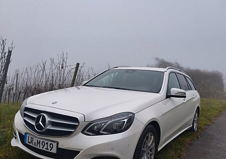 Mercedes-Benz E 250 BlueTEC T AVANTGARDE Autom. AVA...