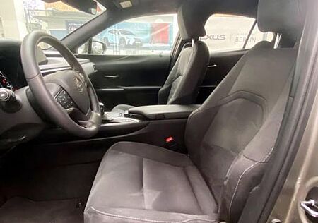Lexus UX UX250h Style Edition