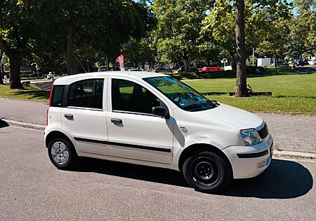 Fiat Panda - TÜV 07/26 8-fach bereift