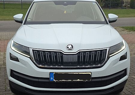 Skoda Kodiaq 2.0 TSI DSG 4x4 Style - Sorglospaket