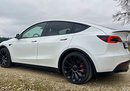 Tesla Model Y Performance Dual Motor AWD Performance