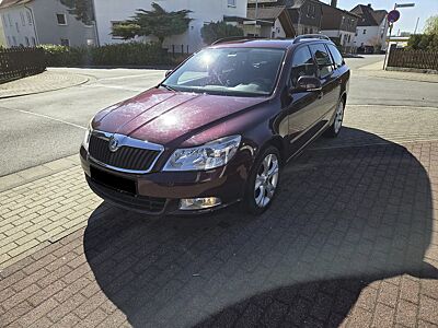 Skoda 1.6 TDI Combi Ambiente Behinderten Fahrzeug