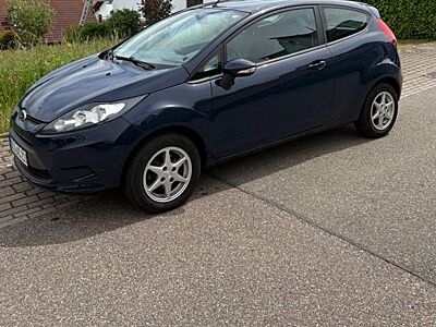 Ford Fiesta / 60 PS / Keilriemen neu/ 8-fach bereift