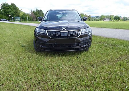 Skoda Karoq 1.5 TSI ACT Ambition Ambition