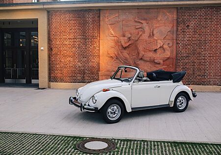 VW Käfer Volkswagen