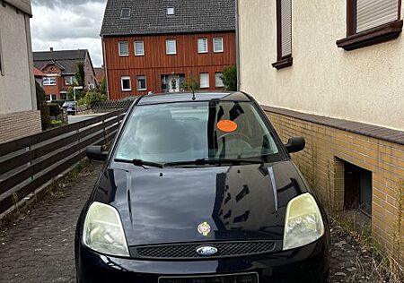 Ford Fiesta 1,3 44 kW Viva Viva