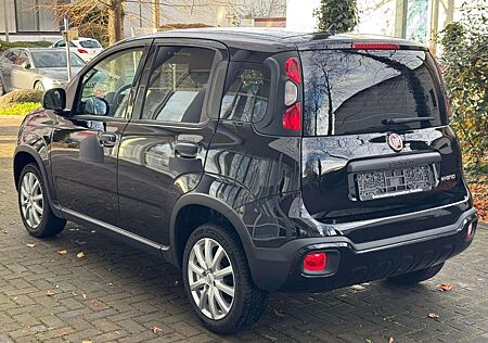 Fiat Panda TÜV AU NEU/ 1-Hand /CROSS/ KLIMA / TOP Zus