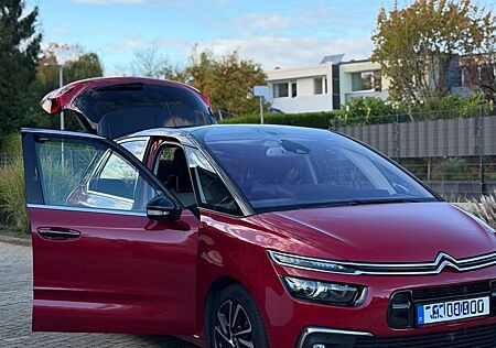 Citroën C4 Picasso gebraucht kaufen Citroën C4 Picasso BlueHDi 120 Stop&Start SHINE EAT6...