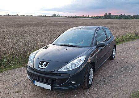 Peugeot 206 + 1.1 Allwetterreifen viele neu Teile Klima
