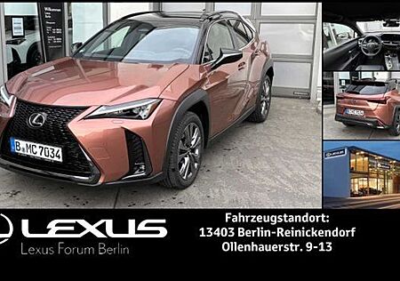 Lexus UX gebraucht kaufen Lexus UX 300h 2,0 HEV F-SPORT DESIGN *Sonderedition*