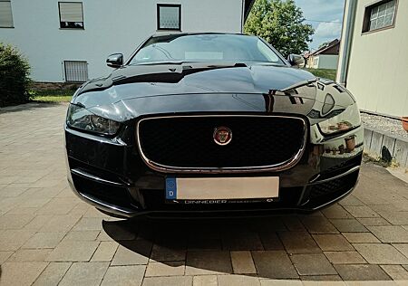 Jaguar XE 20t 200PS Pure Automatik Pure