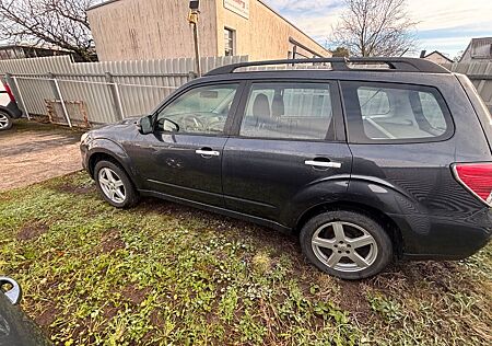 Subaru Forester 2,0D Euro 5 Panorama