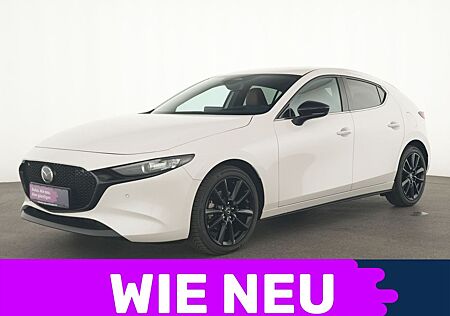 Mazda 3 Nagisa HeadUp|BOSE|Navi|Kamera|LED|PDC|SHZ|ACC
