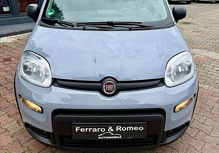 Fiat Panda Hybrid 1.0 GSE 51kw Service Neu