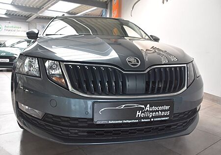 Skoda Octavia Combi Ambition Navi Kamera Tempo AppCon