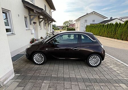 Opel Adam mit Panoramadach