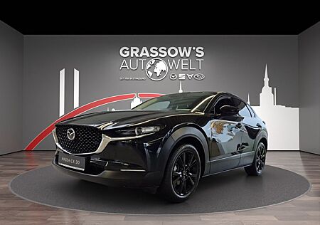 Mazda CX-30 gebraucht kaufen Mazda CX-30 2.0L e-SKYACTIV G 150ps 6AT FWD Homura