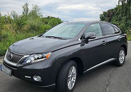 Lexus RX 450 RX 450h Executive