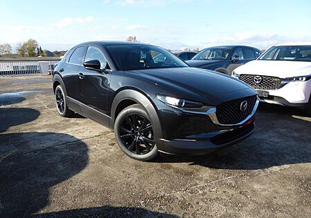 Mazda CX-30 2.5l 140PS Homura Automatik