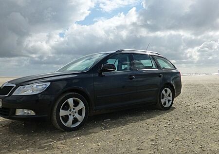 Skoda Octavia 1.8 TSI DSG Elegance / Xenon Leder Navi