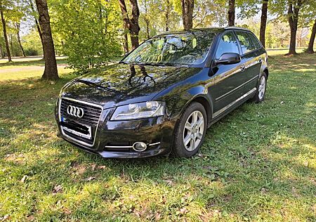 Audi A3 1.6 TDI (DPF) 90 PS Attraction Sportback A...
