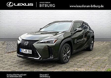 Lexus UX gebraucht kaufen Lexus UX 300h F-Sport Design