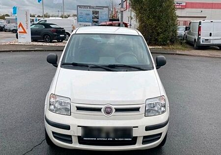 Fiat Panda Top Gepfleg, TÜV NEU Gas & Benziner