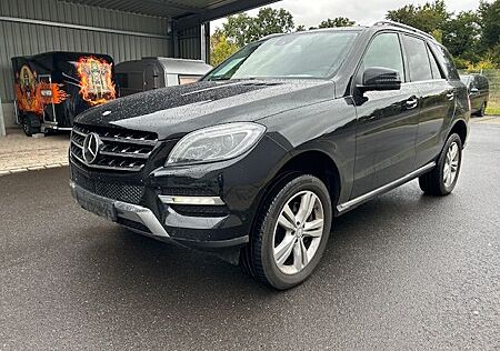 Mercedes-Benz ML 350 4M /19''/7G/ILS/Schiebedach/Distronic/AHK