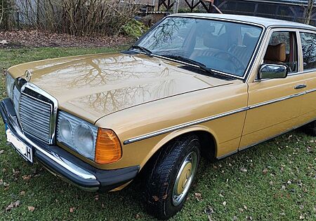 Mercedes-Benz 250 6 Zylinder Oldtimer Typ W123