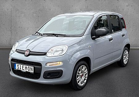 Fiat Panda 1.2 Easy Klima Radio elektr.Fensterheber