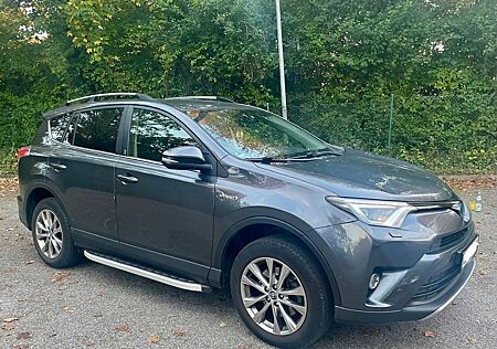 Toyota RAV 4 Hybrid 2,5 Team Deutschland Auto 4x