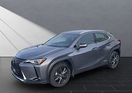 Lexus UX 250h STYLE*LED*KAM* KAMERA*ALLWETTER