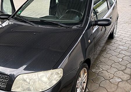 Fiat Punto 1.2 8V - zuverlässig!!