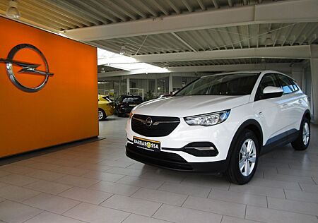 Opel Grandland X Grandland (X), WinterPaket, Klima AT,