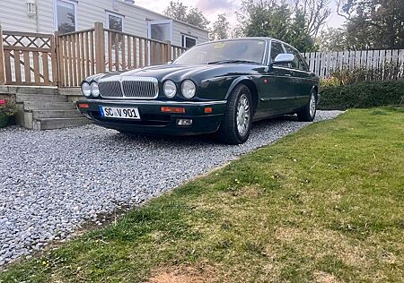 Jaguar Daimler gebraucht kaufen Jaguar Daimler 6.0 Double Six H-Zulassung LWB