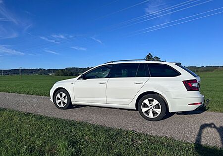 Skoda Octavia Sehr gepflegter 2.0 TDI SCR DSG 4x4